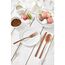 Sambonet 52713C81 Besteck-Set 24 Stück(e) Kupfer