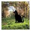 Wallxpert 565TNL1276 Gartenpfahl Schwarz, 3 image