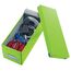 Leitz 60410054 Aufbewahrungsbox Karton Grün