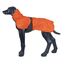 Icepeak 70451344_450_S Kleidung für Hunde & Katzen S Orange Polyester Hund Mantel, Farbe: Orange, Größe: S, 4 image