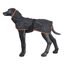 Icepeak 70451344_990_S Kleidung für Hunde & Katzen S Schwarz Polyester Hund Mantel, Farbe: Schwarz, Größe: S, 2 image