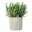 elho 7271701545200 Blumentopf Weiß Kunststoff 1 Stück(e), Farbe: Weiß, 3 image