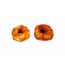 Beeztees 779100 Hunde-/Katzenleckerli Hund Snacks Huhn