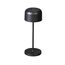 Konstsmide Lille mini Tischleuchte 2,5 W LED Schwarz, Farbe: Schwarz, Länge: 1,5 m