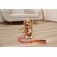 Kerbl Puno 0,1 m Schwarz, Orange Hund Trainingsleine, 7 image