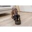 Kerbl 80109 Schale für Hunde/Katzen Hund Haustier-Fütterungsschale, 3 image