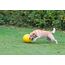 Kerbl 82274 Hunde-/Katzenspielzeug
