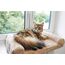 Kerbl 82656 Hunde-/Katzenbett Hammock pet bed, 7 image