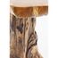 KARE Tree Small Nature Beistelltisch Freiform 1 Bein(e), 4 image