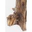 KARE Tree Small Nature Beistelltisch Freiform 1 Bein(e), 5 image