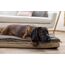 Kerbl 85782 Hunde-/Katzenbett, 8 image