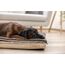 Kerbl 85784 Hunde-/Katzenbett, 11 image
