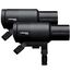 Profoto Pro-D3 Fotostudio-Blitzlicht 1250 Ws Schwarz