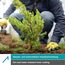 ACE 901206 Handschutz Gartenhandschuhe Grün, Gelb Latex, Stoff 3 Stück(e), 3 image