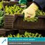 ACE 901207 Handschutz Gartenhandschuhe Grün, Gelb Latex, Stoff 3 Stück(e), 5 image