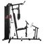HAMMER Ferrum TX3 Rücken, Bizeps, Hamstrings, Trizeps, 2 image
