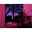 Philips 929003151501 Smart Lighting Intelligentes Leuchtmittel Bluetooth/Zigbee 6,8 W, 4 image