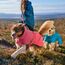 Hurtta Expedition Parka II Blau Polyethersulfon (PES) Hund Jacke, 3 image