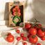 Oli&Carol Tomato Rattle Beissring, 4 image