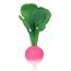 Oli&Carol Ramona the Radish Beissring