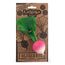 Oli&Carol Ramona the Radish Beissring, 3 image