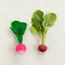 Oli&Carol Ramona the Radish Beissring, 6 image