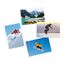 HP Normales Fotopapier, glänzend, 200 g/m2, 10 x 15 cm (101 x 152 mm), 100 Blatt, 6 image