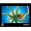 Calendaria WWF Wildlife 2027