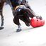 KONG 99754 Hunde-/Katzenspielzeug, 2 image