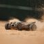ARRMA TYPHON GROM 223S BLX ferngesteuerte (RC) modell Buggy Elektromotor, 12 image