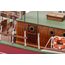 Billing Boats Lilla Dan Passagierschiff-Modell Montagesatz 1:50, 19 image