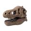 Buki Museum Dino Skull Tyrannosaurus, 6 image