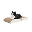 CanadianCat C10097 Katzenkratzer Katzenkratzbett