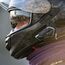 Midland C1529 Motorrad-Sprechanlage 1200 m Schwarz, 3 image