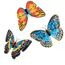 CRAFT Buddy CADST-31GEN007 Kunst-/Bastelspielzeug, 2 image