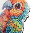 CRAFT Buddy CAFGR-31GEN043 Kunst-/Bastelspielzeug, 4 image