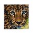 CRAFT Buddy Leopard, 2 image