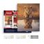 Colorelle COL-PN0038-F Malvorlage &- buch Malen nach Zahlen Set, 2 image