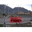 Technoaware VTrack TrafficFlow Voll