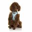 DOOG Benji L Mehrfarbig Hund Westengeschirr, 2 image