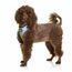 DOOG Benji XS Mehrfarbig Hund Westengeschirr, 4 image