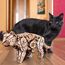 Eco Wood Art Wild Cat 3D-Puzzle 508 Stück(e) Tiere, Farbe: Holz, 7 image