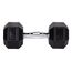 Fitcom Hex Dumbbell Kurzhantel mit festem Gewicht 10 kg 1 Stück(e)