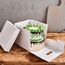 FunCakes Torten & Cupcake Schachteln, 2 image