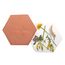 Esschert Design FH015 Kräuterdose