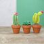 Hardicraft Cacti, 4 image