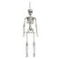 PartyDeco Skeleton Dekoration