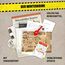 Hidden Games HGFA06EB Brettspiel ICE COLD CRIME 90 min Kartenspiel Detektiv, 2 image