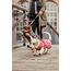 Hurtta HU-934033 Kleidung für Hunde & Katzen 55 Grau Stoff Hund Pullover, 4 image