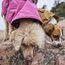 Hurtta Monsoon Coat II ECO 30 Grün Polyester Hund Mantel, Farbe: Grün, 6 image
